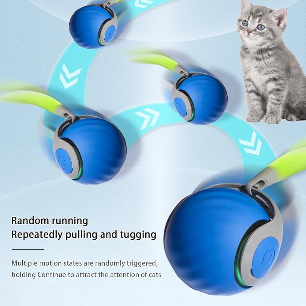 Automatic Pet Ball